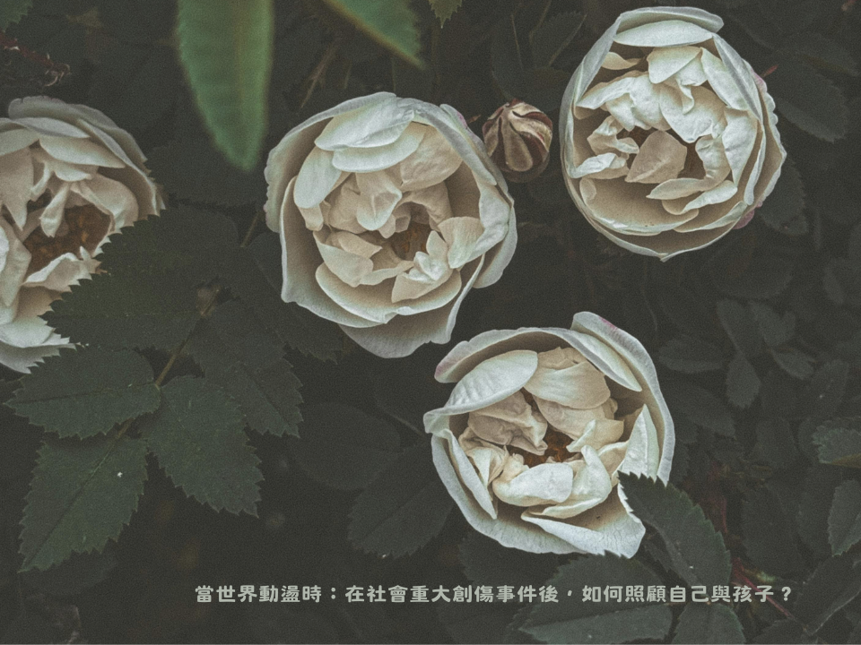 當世界動盪時：在社會重大創傷事件後，如何照顧自己與孩子？