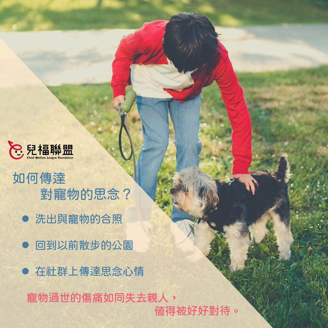 寵物過世的傷痛如同失去親人，值得被好好對待