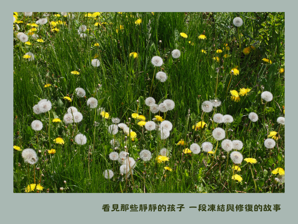 看見那些靜靜的孩子 一段凍結與修復的故事