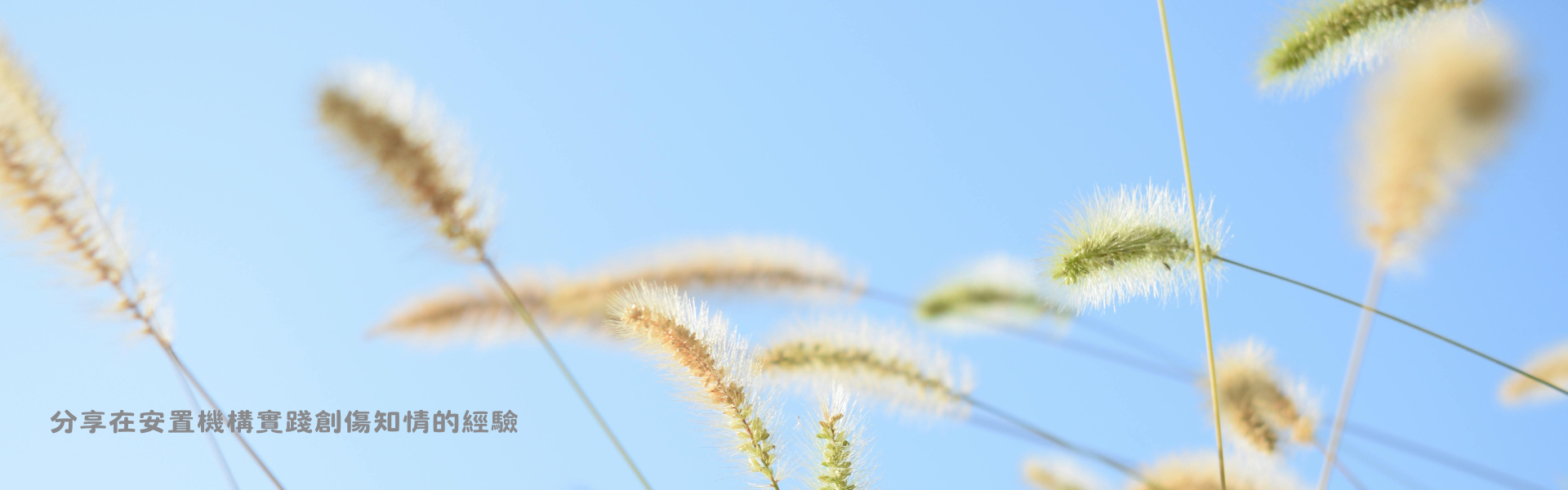 分享在安置機構實踐創傷知情的經驗