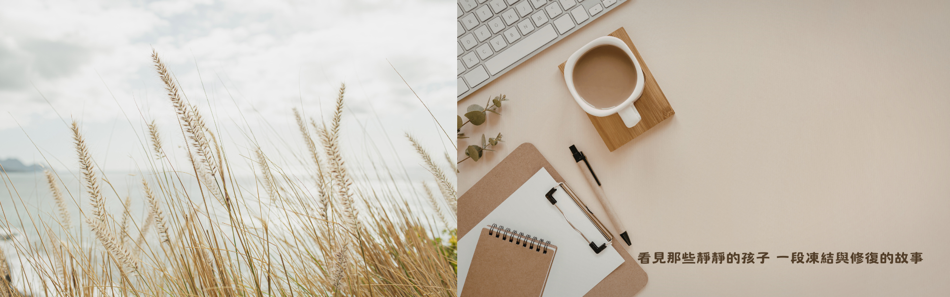 看見那些靜靜的孩子 一段凍結與修復的故事