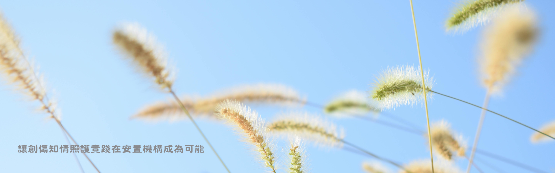 分享在安置機構實踐創傷知情的經驗