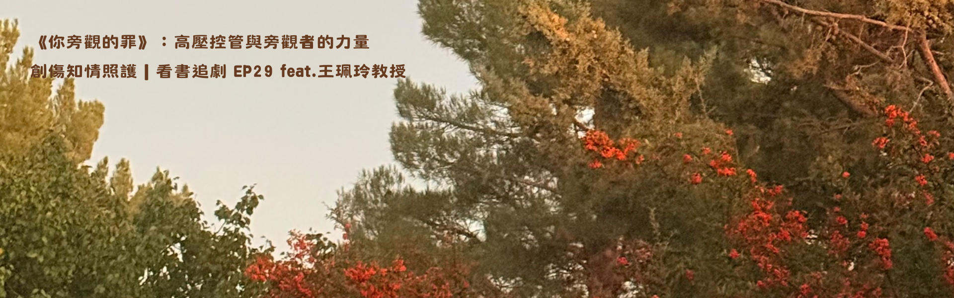 2026-03_看書追劇_ep29