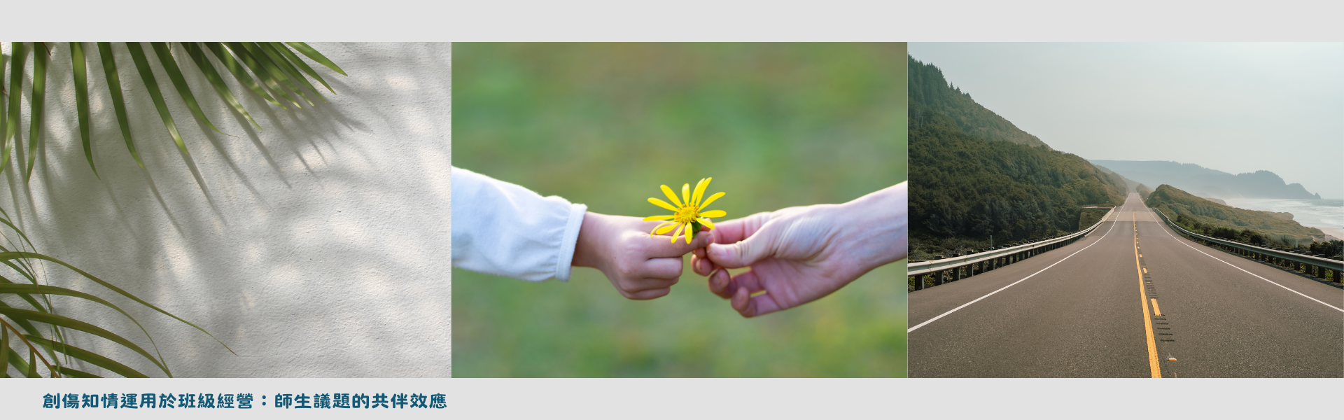 創傷知情運用於班級經營：師生議題的共伴效應